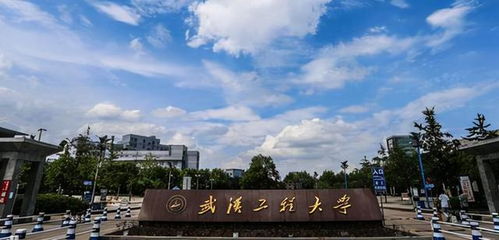 武漢工程大學(xué)化學(xué)與環(huán)境工程學(xué)院公布環(huán)境工程專業(yè)預(yù)調(diào)劑需求