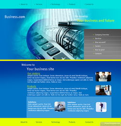 歐美網站設計咨詢類網站界面欣賞