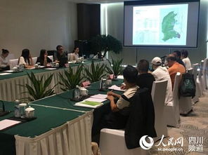 熊貓之都 總體策劃及概念性規劃國際咨詢中期匯報及研討會舉行