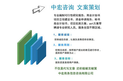 新能源項目商業計劃書代寫制作