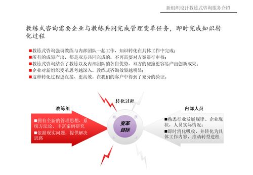 新組織設(shè)計教練式咨詢服務(wù)介紹