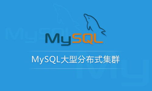 MySQL性能管理與架構(gòu)設(shè)計(jì) 從SQL優(yōu)化到分庫(kù)分表的完整策略